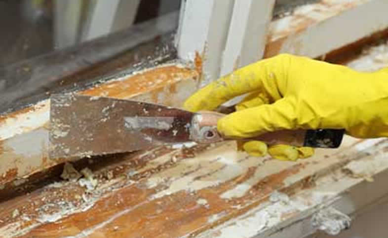Lead Paint Scraping Image